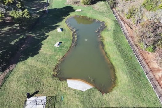 Mansfield's Mans Best Field Dog Park Unveils New Swimming Hole and Amenities for Pooch Playtime