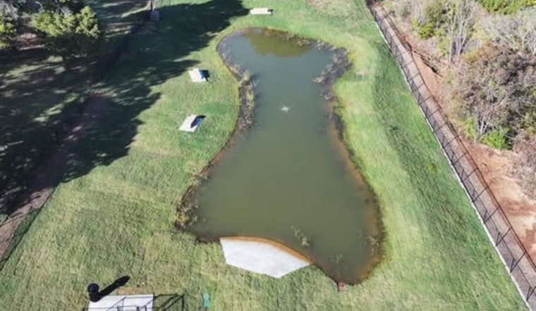 Mansfield's Mans Best Field Dog Park Unveils New Swimming Hole and Amenities for Pooch Playtime
