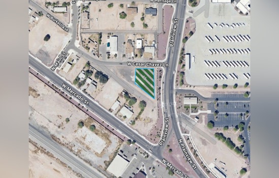 Maricopa Offers Convenient Christmas Tree Disposal Options Until January 12
