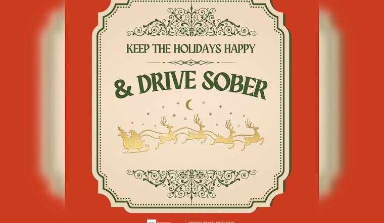 Maryville Police Department Issues Stark Warning on Costs of DUIs During Holidays
