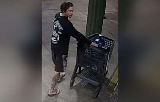 Maui Cops Search For Mystery Witness In Kihei Assault Case