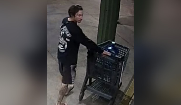 Maui Cops Search For Mystery Witness In Kihei Assault Case
