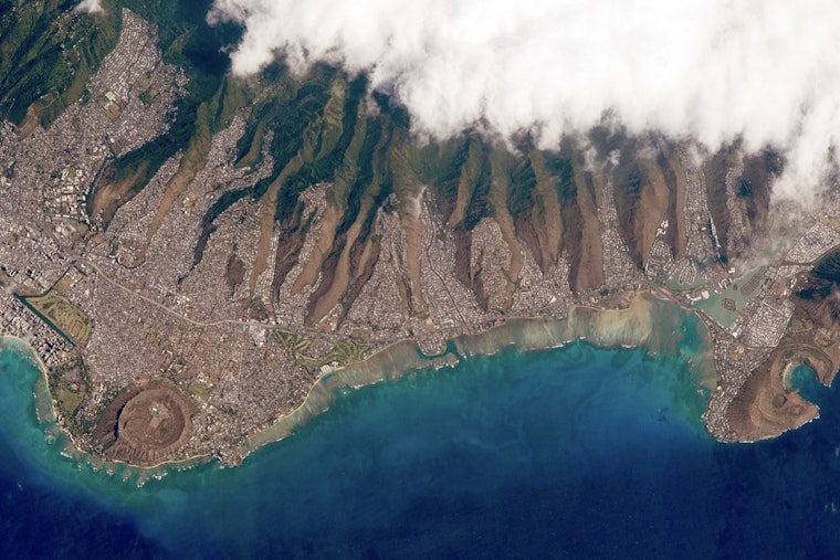 Maunalua Bay Snags $4.6 Million To Supercharge Reef Rescue