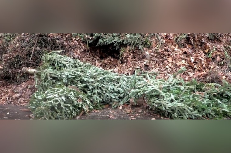 Mecklenburg County Encourages Eco-Friendly Holiday Waste Disposal and Offers Recycling Tips and Locations in Charlotte and Huntersville