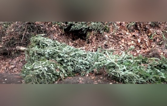 Mecklenburg County Encourages Eco-Friendly Holiday Waste Disposal and Offers Recycling Tips and Locations in Charlotte and Huntersville