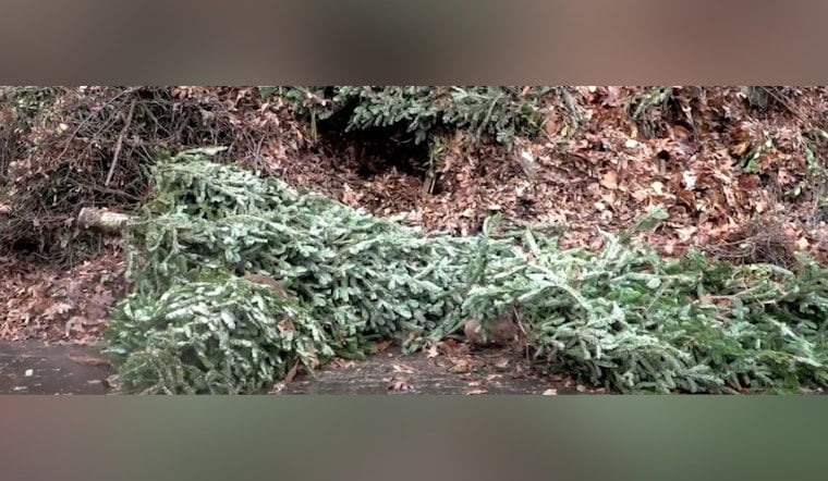 Mecklenburg County Encourages Eco-Friendly Holiday Waste Disposal and Offers Recycling Tips and Locations in Charlotte and Huntersville