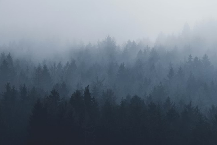 Memphis Braces for Foggy Start to Holiday Week with Mild Temperatures Ahead, Says NWS