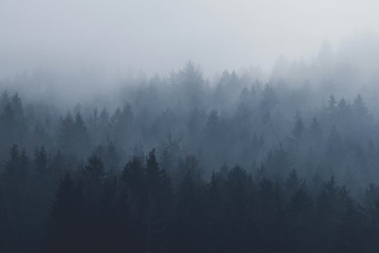 Memphis Braces for Foggy Start to Holiday Week with Mild Temperatures Ahead, Says NWS