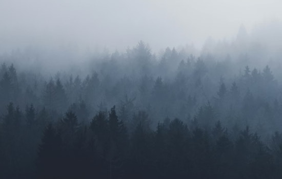 Memphis Braces for Foggy Start to Holiday Week with Mild Temperatures Ahead, Says NWS