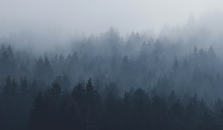 Memphis Braces for Foggy Start to Holiday Week with Mild Temperatures Ahead, Says NWS