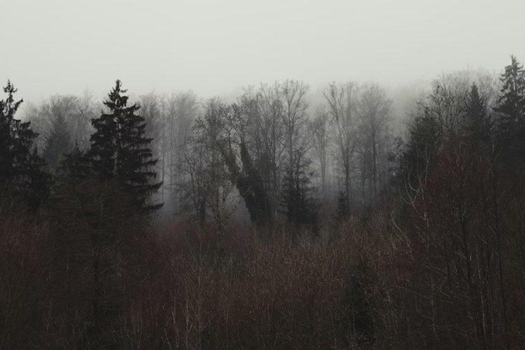Memphis Motorists Advised to Exercise Caution amid Dense Fog Advisory Until 10 AM CST