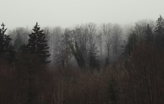 Memphis Motorists Advised to Exercise Caution amid Dense Fog Advisory Until 10 AM CST