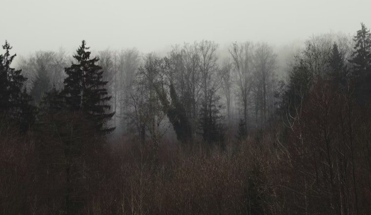 Memphis Motorists Advised to Exercise Caution amid Dense Fog Advisory Until 10 AM CST