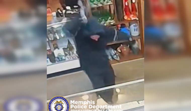 Memphis Police Seek Information on Early Morning Burglary at Collectible Store on Summer Avenue