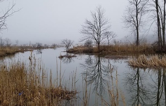 Mentor's Call to Action: Safeguard Lake Erie's Watershed This Winter Through Conscious Choices