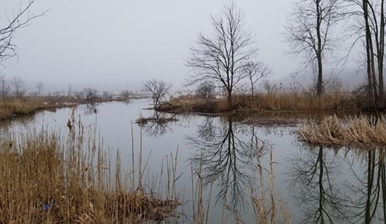 Mentor's Call to Action: Safeguard Lake Erie's Watershed This Winter Through Conscious Choices