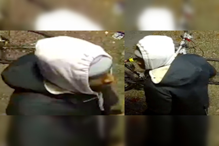 Metropolitan Police Seek Public's Help to Identify Suspects in Northwest Robbery