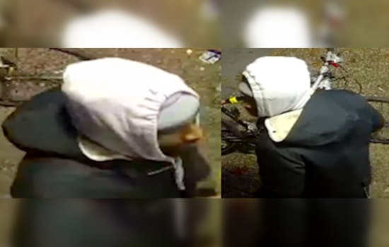 Metropolitan Police Seek Public's Help to Identify Suspects in Northwest Robbery