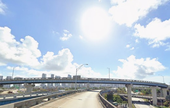 Miami Basks in Sunshine with Low 80s, Cooler Temperatures Expected for New Year's Eve
