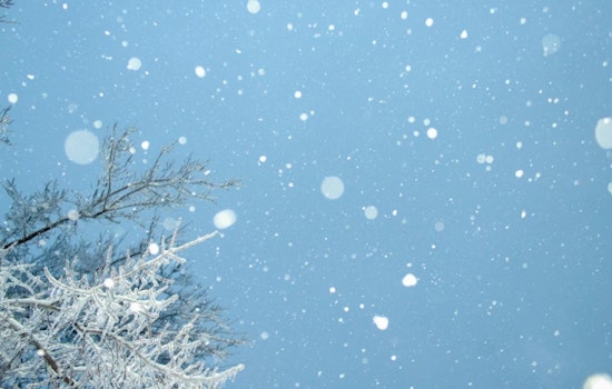Michigan Battles Extreme Winter Weather: Power Outages, Travel Woes, and 40+ Flight Cancellations in Detroit