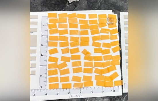 Michigan Department of Corrections Introduces Photocopying of Legal Mail to Combat Contraband Smuggling