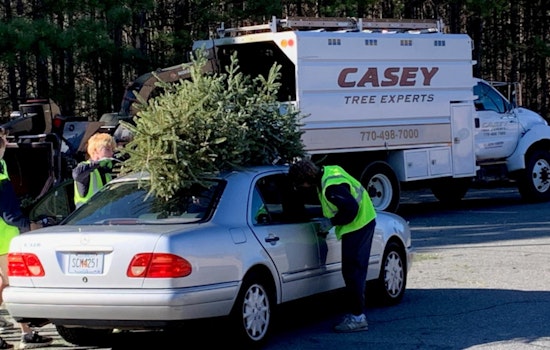 Milton Kicks Off Annual Christmas Tree Recycling Event at High School, Offers Free Seedling in Eco Initiative