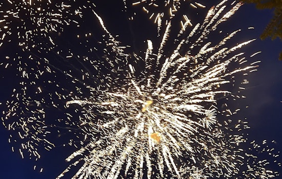 Milton Sets 200-Yard Firework-Free Zones Near Equine Properties for New Year Celebrations