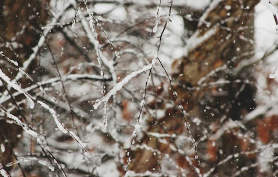 Milwaukee Braces for Winter Weather as Snow and Sub-Zero Wind Chills Loom