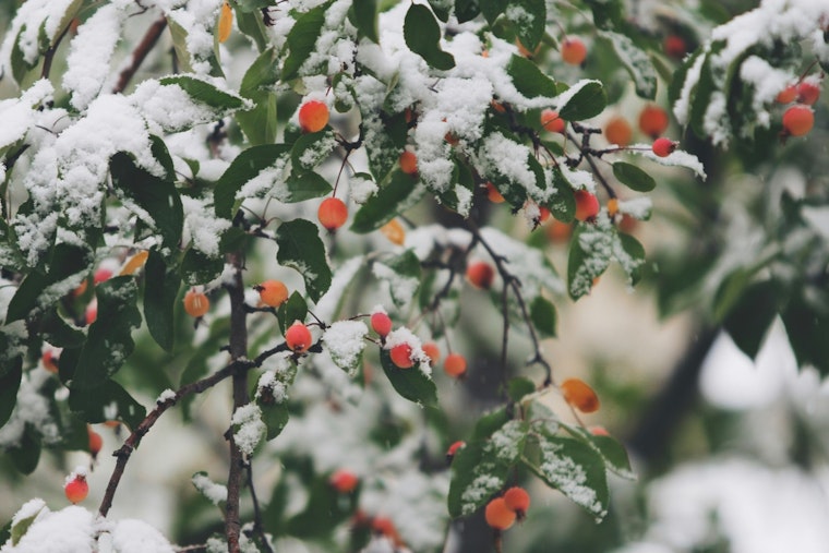 Milwaukee Set for Wintry Mix Snow, Freezing Drizzle, and Cold Temperatures Ahead