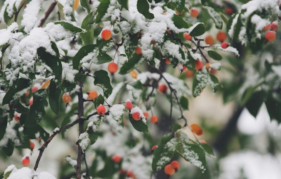 Milwaukee Set for Wintry Mix Snow, Freezing Drizzle, and Cold Temperatures Ahead