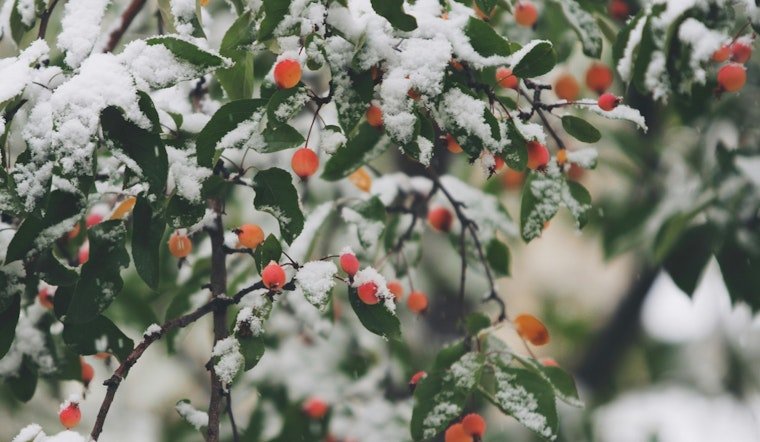 Milwaukee Set for Wintry Mix Snow, Freezing Drizzle, and Cold Temperatures Ahead