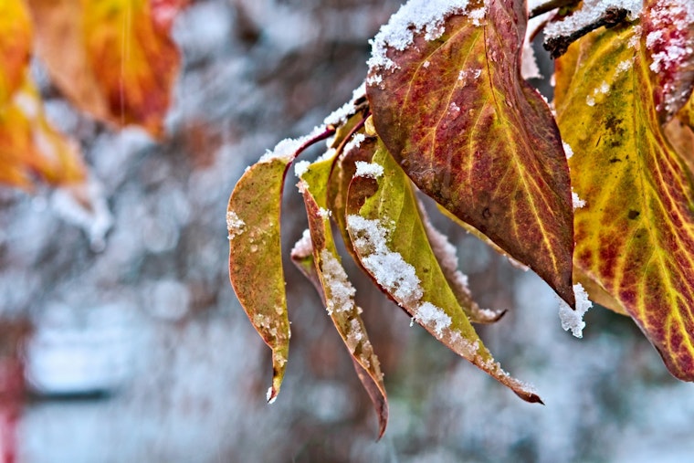 Milwaukee Warned of Extreme Cold Wind Chills to Hit 20 Below Zero
