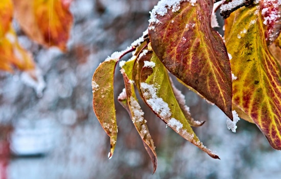 Milwaukee Warned of Extreme Cold Wind Chills to Hit 20 Below Zero