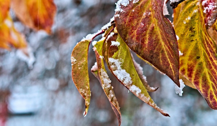 Milwaukee Warned of Extreme Cold Wind Chills to Hit 20 Below Zero