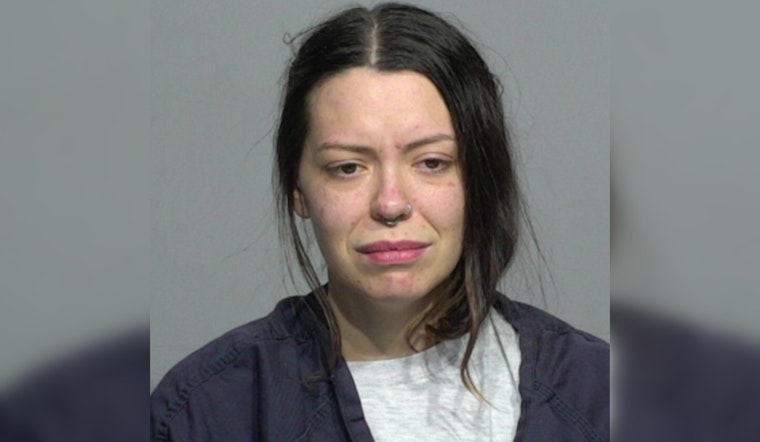 Milwaukee Woman Charged with Abducting Children in Stolen Daycare Van
