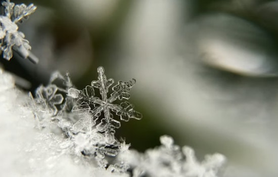 Minneapolis Braces for Bitter Blast as Cold Weather Advisory Takes Effect