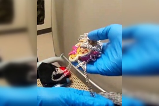 Minneapolis Police Nab Repeat Shoplifter with Stolen Goods Worth $230