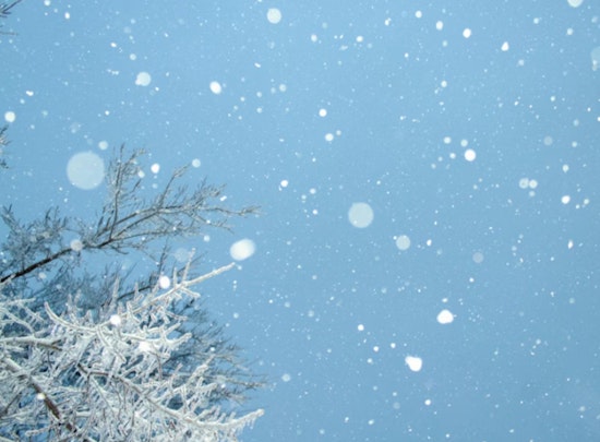 Minnesota and Western Wisconsin Brace for Winter Weather Advisory: Up to 7 Inches of Snow, Gusty Winds Expected