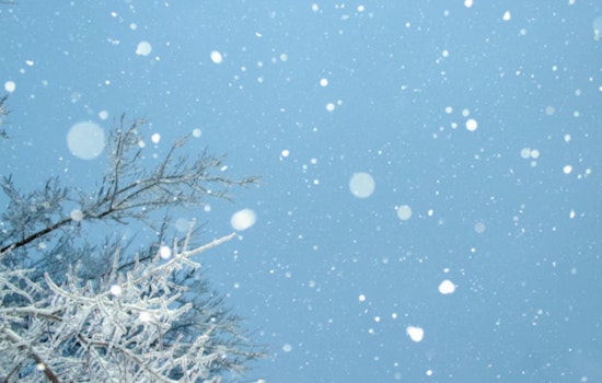 Minnesota and Western Wisconsin Brace for Winter Weather Advisory: Up to 7 Inches of Snow, Gusty Winds Expected