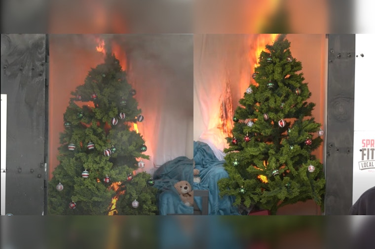 Minnesota Department of Public Safety Warns of Fire Risks with Christmas Trees; Advocates Sprinklers and Safe Practices