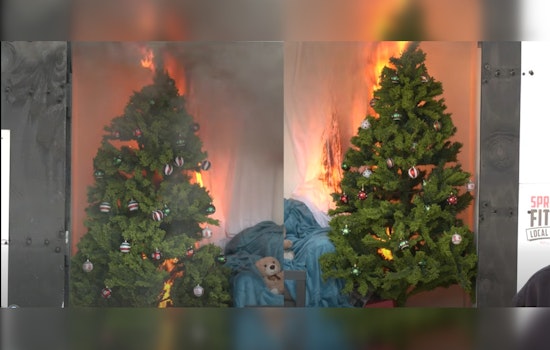 Minnesota Department of Public Safety Warns of Fire Risks with Christmas Trees; Advocates Sprinklers and Safe Practices