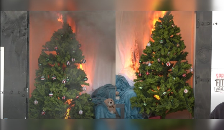 Minnesota Department of Public Safety Warns of Fire Risks with Christmas Trees; Advocates Sprinklers and Safe Practices