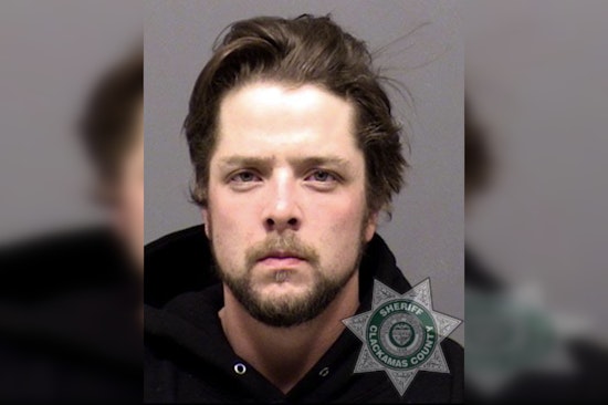 Molalla Man Sentenced to 20 Months for Meth Possession, Firearms Charges