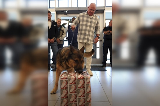 Monroe Police Honor K9 Diesel's Service with Special Ceremony and Playful Celebration