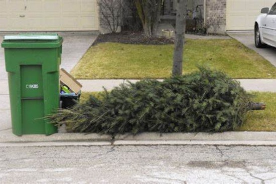 Montgomery Announces Special Holiday Greenery Collection Dates for Residents