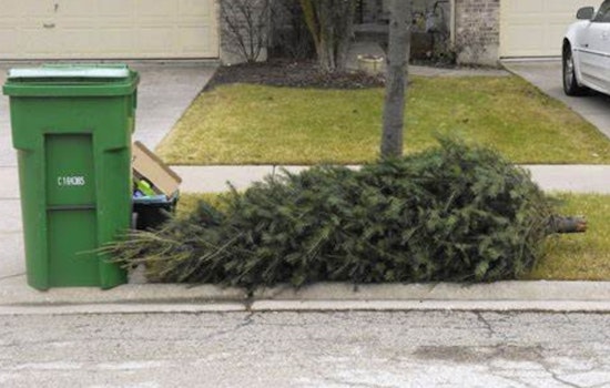 Montgomery Announces Special Holiday Greenery Collection Dates for Residents