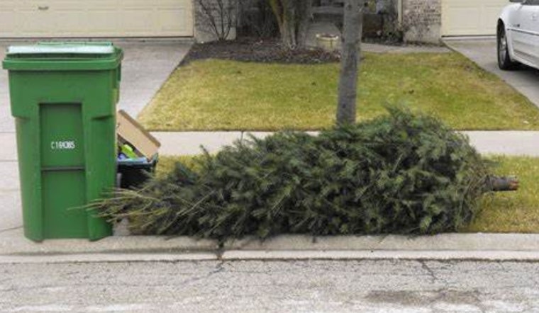 Montgomery Announces Special Holiday Greenery Collection Dates for Residents