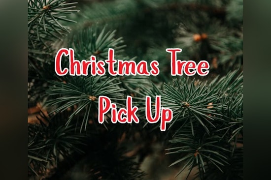 Moore Offers Free Christmas Tree Pickup for Eco-Friendly Post-Holiday Cleanup