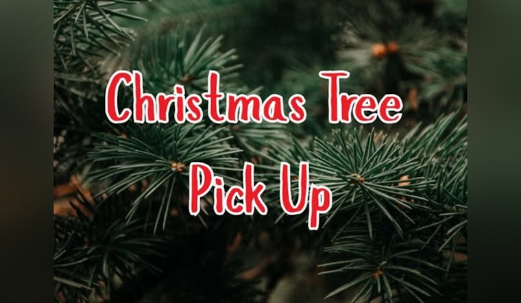 Moore Offers Free Christmas Tree Pickup for Eco-Friendly Post-Holiday Cleanup