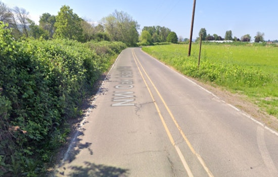 Multnomah County Sheriff's Office Probes Fatal Single-Vehicle Crash on Sauvie Island